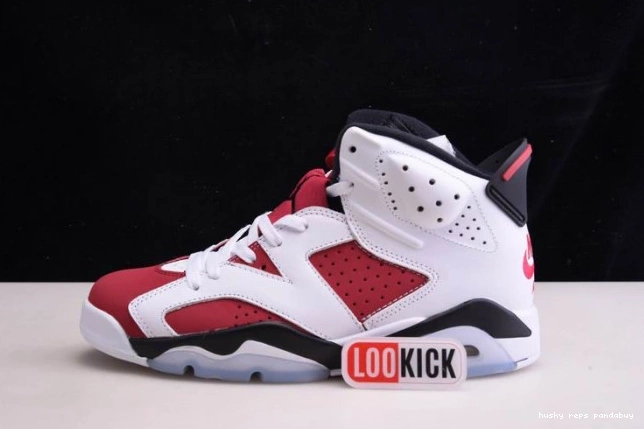 Husky 'CARMINE' 2021 AIR 6 RETRO JORDAN CT8529-106 0814